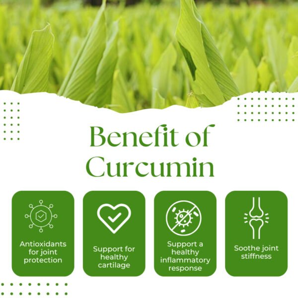 Turmeric Curcumin 750mg, Natural Support for Joint – Non-GMO – 60 Capsules - Image 2