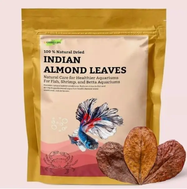 Premium Indian Almond Leave. Catappa Leaves Rich in Tannin. Awsome Aquarium Decorations
