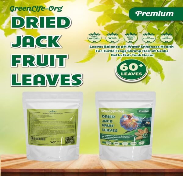 GR Premium Jackfruit Leaves, Pack of 60, Natural Dried Whole Leaves for Aquarium, Enhances Aquarium Water, Improves Tannin Levels, Ideal for Shrimp and Betta Fish